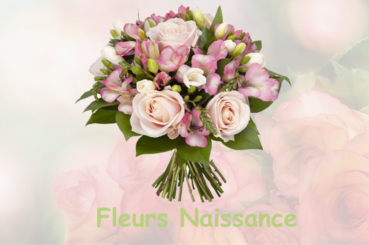 fleurs naissance FROGES