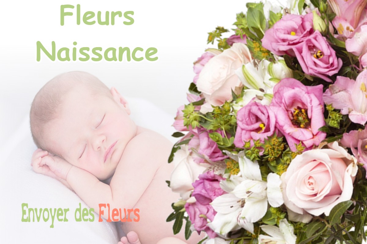 lIVRAISON FLEURS NAISSANCE à FROGES